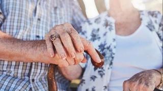 Qarimasdan keksayish ilmi