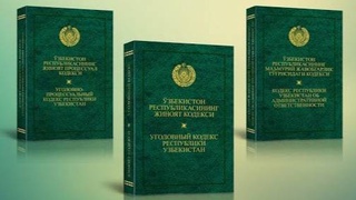 Внесены изменения в Кодексы об уголовной и административной ответственности