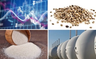 На Узбекской республиканской товарно-сырьевой бирже снизились цены на технические семена, сахар и сжиженный газ