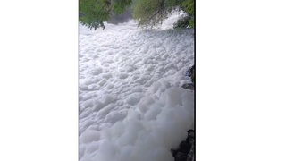 Fargʻona kanaliga zararli suv oqizilgani maʼlum boʻldi