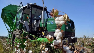 «Белое золото» - бесценное богатство