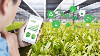 В Узбекистане запущен проект ФАО «Умное фермерство для будущего поколения»