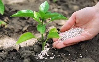 USAID выделит Узбекистану дополнительно 2 млн долларов на производство удобрений