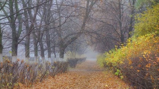 Прогноз погоды на 5 ноября: пыльная мгла