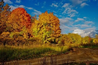 18 сентябрь кунги об ҳаво маълумоти эълон қилинди