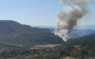 Хитой жанубидаги ўрмон ёнғини туфайли уч киши ҳаётдан кўз юмди