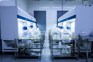 В Узбекистане открылась Agro In Vitro лаборатория и теплица пятого поколения с фруктовыми саженцами экспортных сортов