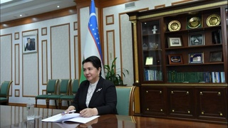 Рассмотрены вопросы объединения и повышения роли женщин в миростроительстве