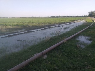 Сувдан фойдаланиш бўйича бир кунда 7 та қонунбузилиш ҳолати аниқланди