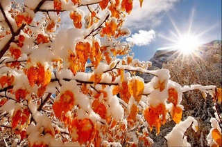 Какая погода ждет узбекистанцев в декабре?