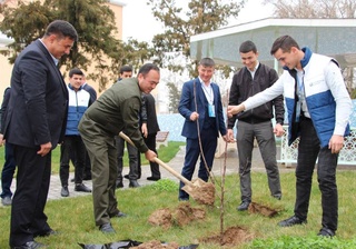 Чирчиқда “Яшил йиллик” умуммиллий лойиҳаси доирасида кўчатлар ўтқазилмоқда