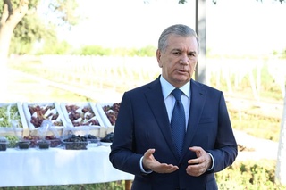 Президент Кегейлі ауданындағы махалланың тіршілігімен танысты