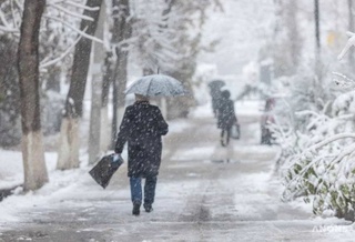 Пешгӯии обу ҳаво барои 20 декабр