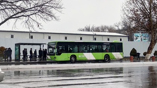 Байрам кунлари Тошкент шаҳрида жамоат транспорти қай тартибда ишлаши маълум қилинди