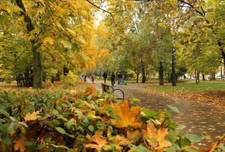 Weather forecast for November 4th