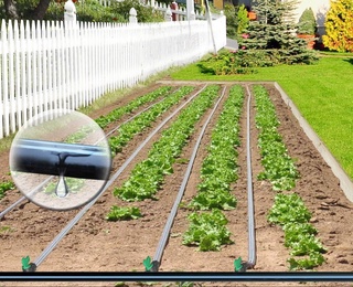 За установку систем капельного орошения - субсидии до 16 млн сумов за гектар