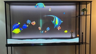 Samsung debuts the world's first transparent MicroLED screen at CES 2024