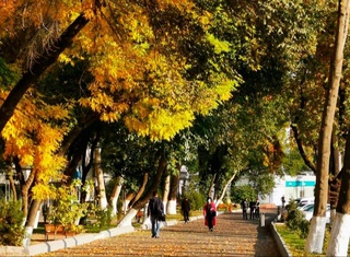 24-ноябрь күни болатуғын ҳаўа райы ҳаққындағы мағлыўмат