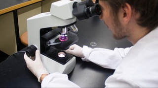 Birinchi bo'lib tovuq paydo bo'lganmi yoki tuxum?