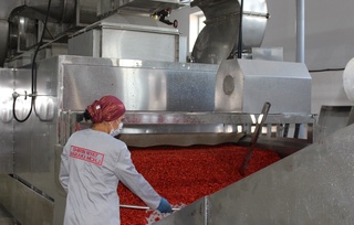 Камбағалликни қисқартириш йўлидаги муҳим қадамлар