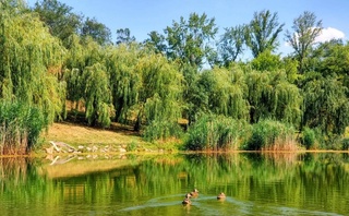 Weather forecast for August 7