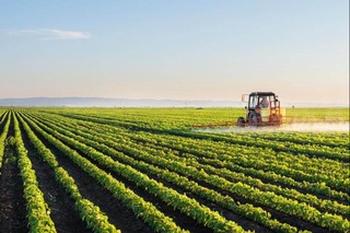 Қишлоқ хўжалиги ерларини асраш — устувор вазифа