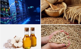 На Узбекской республиканской товарно-сырьевой биржи снизились цены на пшеницу, хлопковое масло и шрот