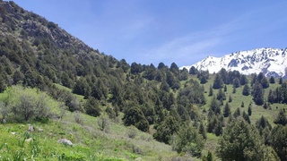 Ўзгидромет эртага, 19 май куни кутилаётган об-ҳаво маълумотини эълон қилди