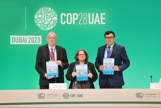 COP28: Изменение климата оказывает негативное воздействие на мигрирующие виды диких животных