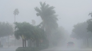 АҚШнинг Флорида штатига “Милтон” тўфони ёпирилди