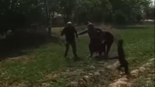 Вояга етмаган қизини муттасил дўппослаб келган отага суд ҳукми ўқилди