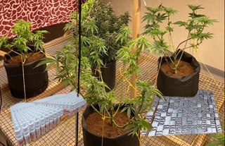 Toshkent shahrida kuchli taʼsir qiluvchi dori vositalarining noqonuniy savdosiga qarshi tadbirlar oʻtkazildi