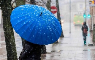 К концу недели дождь может перейти в снег