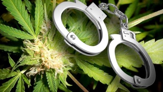 Аср вабосига қарши кураш