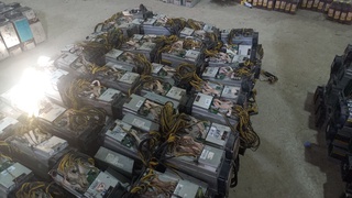 Ноқонуний майнинг фаолияти билан шуғулланаётганлар қамоққа олинди