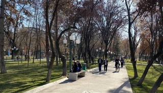 Сухо и тепло: на выходных в Узбекистане потеплеет до +15 градусов