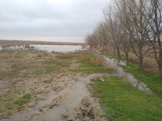 15 mingdan ortiq holatda suv isrof boʻlishining oldi olindi