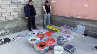 ДХХ томонидан қарийб 100 кг. гиёҳвандлик воситалари ашёвий далил сифатида олинди