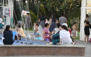 Жара до +37 градусов ожидается в выходные