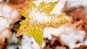 24-25 ноябрда республика ҳудудларига яна ҳаво массалари кириб келиши кутилмоқда