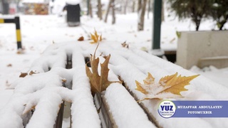 Weather forecast for December 9