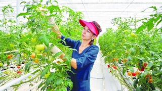 Каракалпакстан: инициативы и возможности