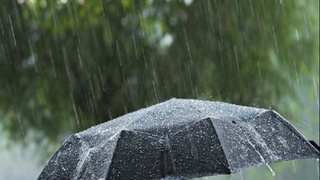 Осы аптада күн салқын болады, жиі-жиі жаңбыр жауады