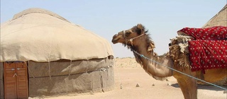 Qoraqalpogʼistonda tadqiqot ishlari boshlandi