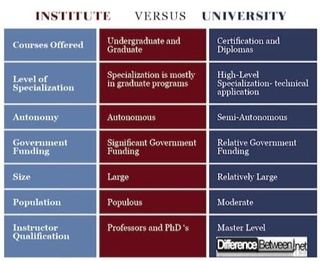 "Университет" ва "институт" ўртасидаги фарқлар нималардан иборат?