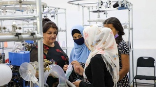 Индекс женской предпринимательской активности