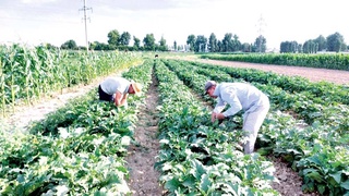 Эффективный способ обеспечения занятости