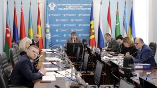 Эксперты стран СНГ согласовали проект Соглашения о сотрудничестве в вопросах медицинского страхования трудящихся-мигрантов и членов их семей