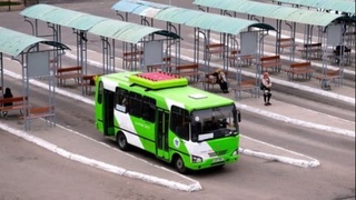 Тошкент вилояти ҳудудига қатновчи йўналишлар фаолияти ўз иш тартибида давом этади