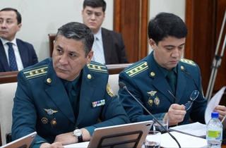 Лица, добровольно сдавшие пневматическое и иное подобное оружие органам внутренних дел, освобождаются от ответственности